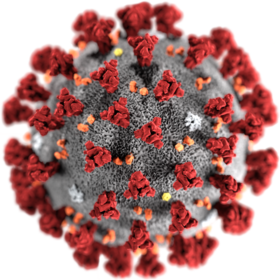 coronavirus coronavirus