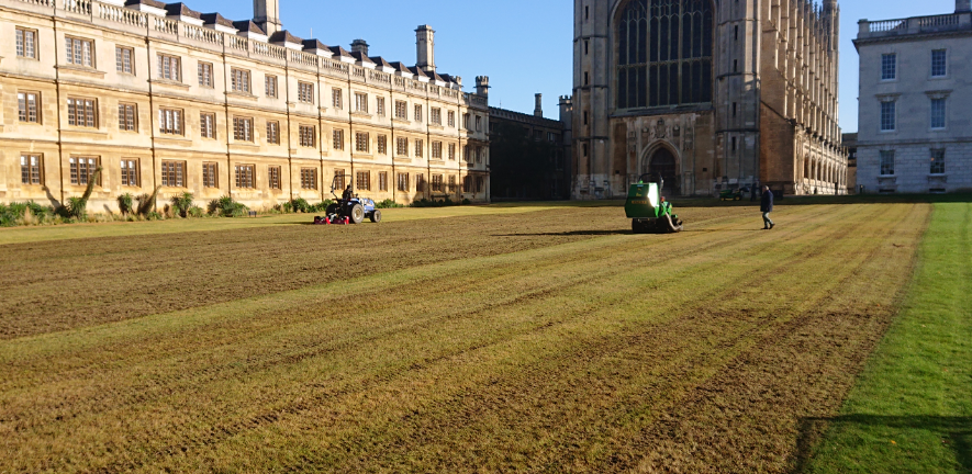 kings_college_wildflower_meadow