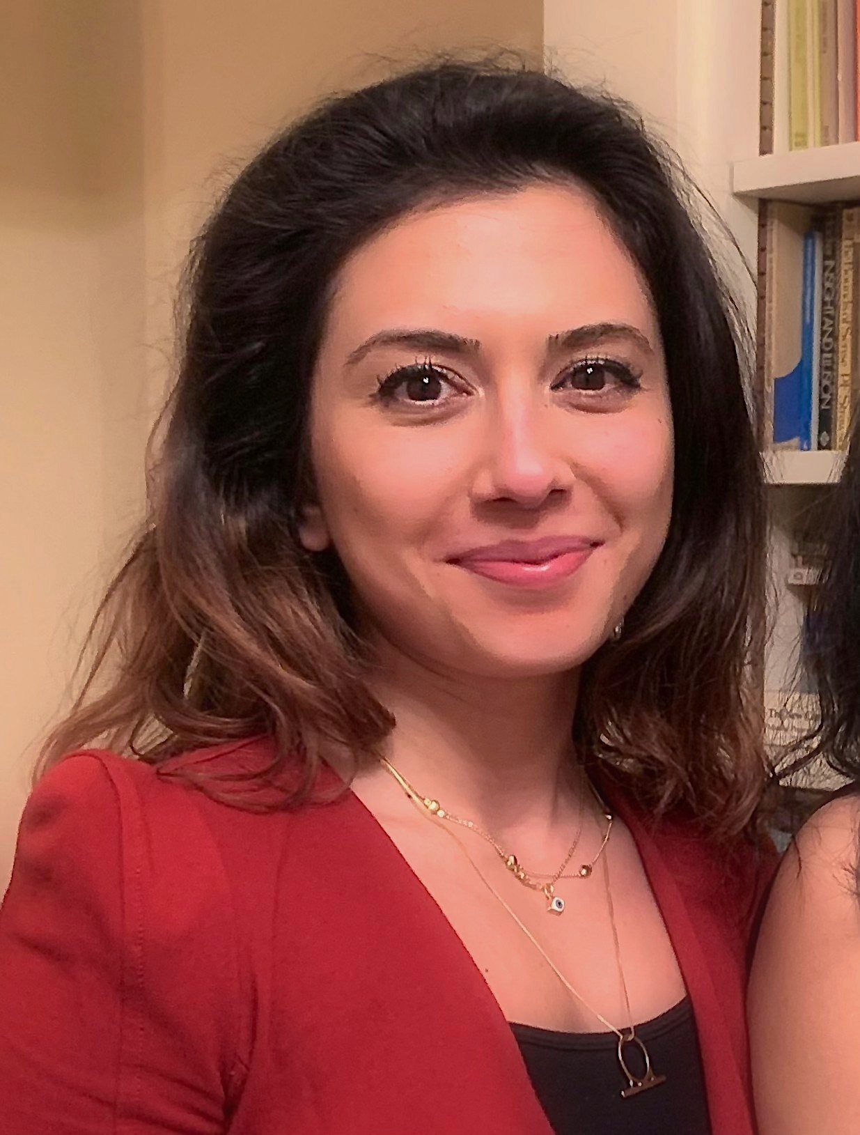Sarah Jilani sarahjilani-bbcngtphoto