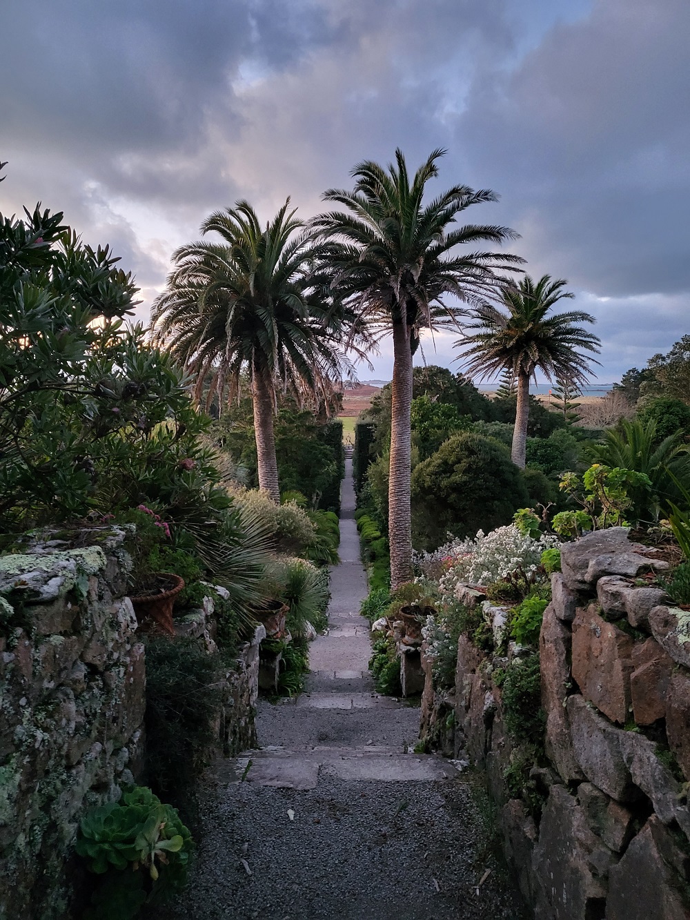 Tresco Abbey Garden tresco