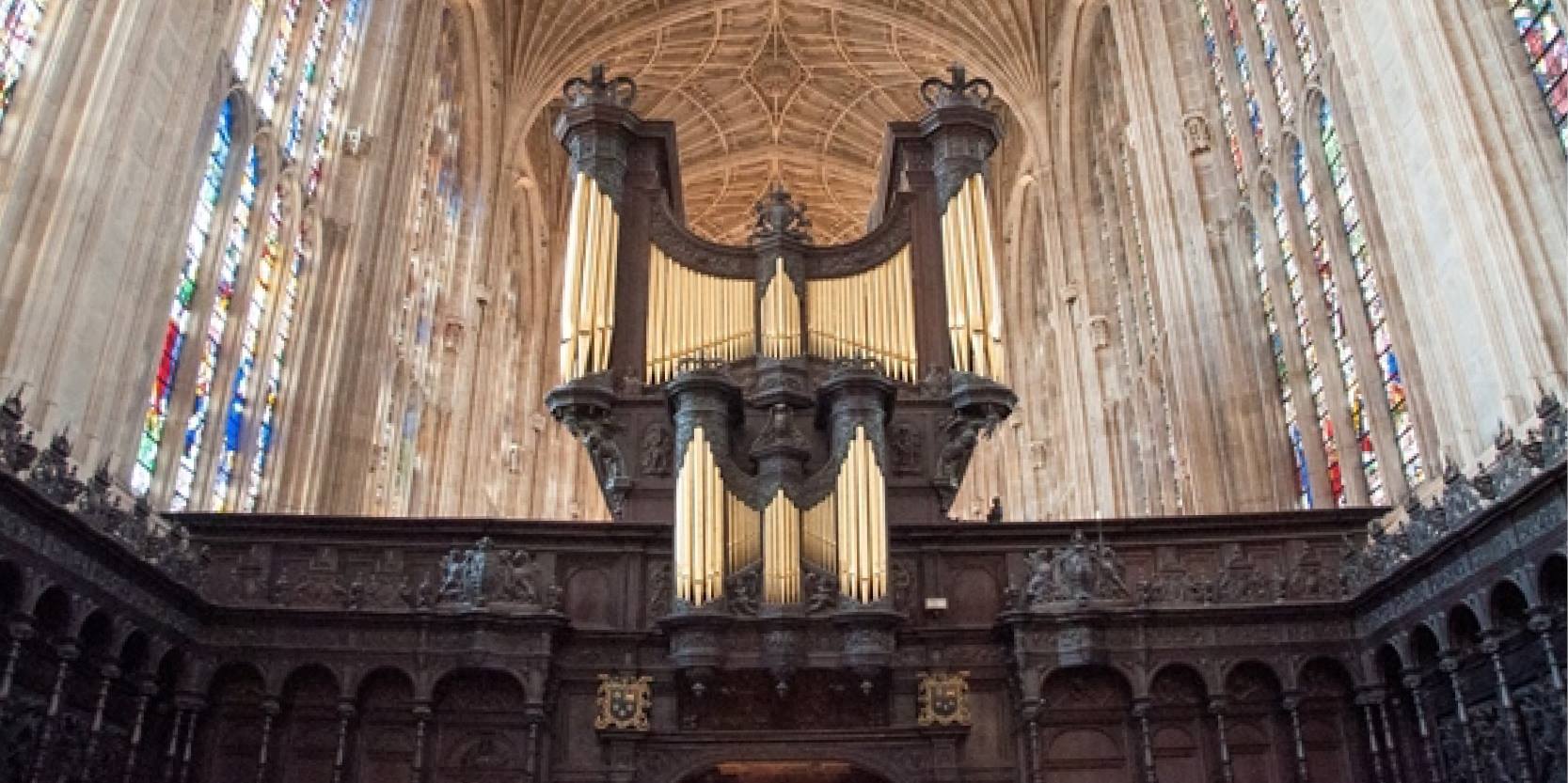 organ_for_web