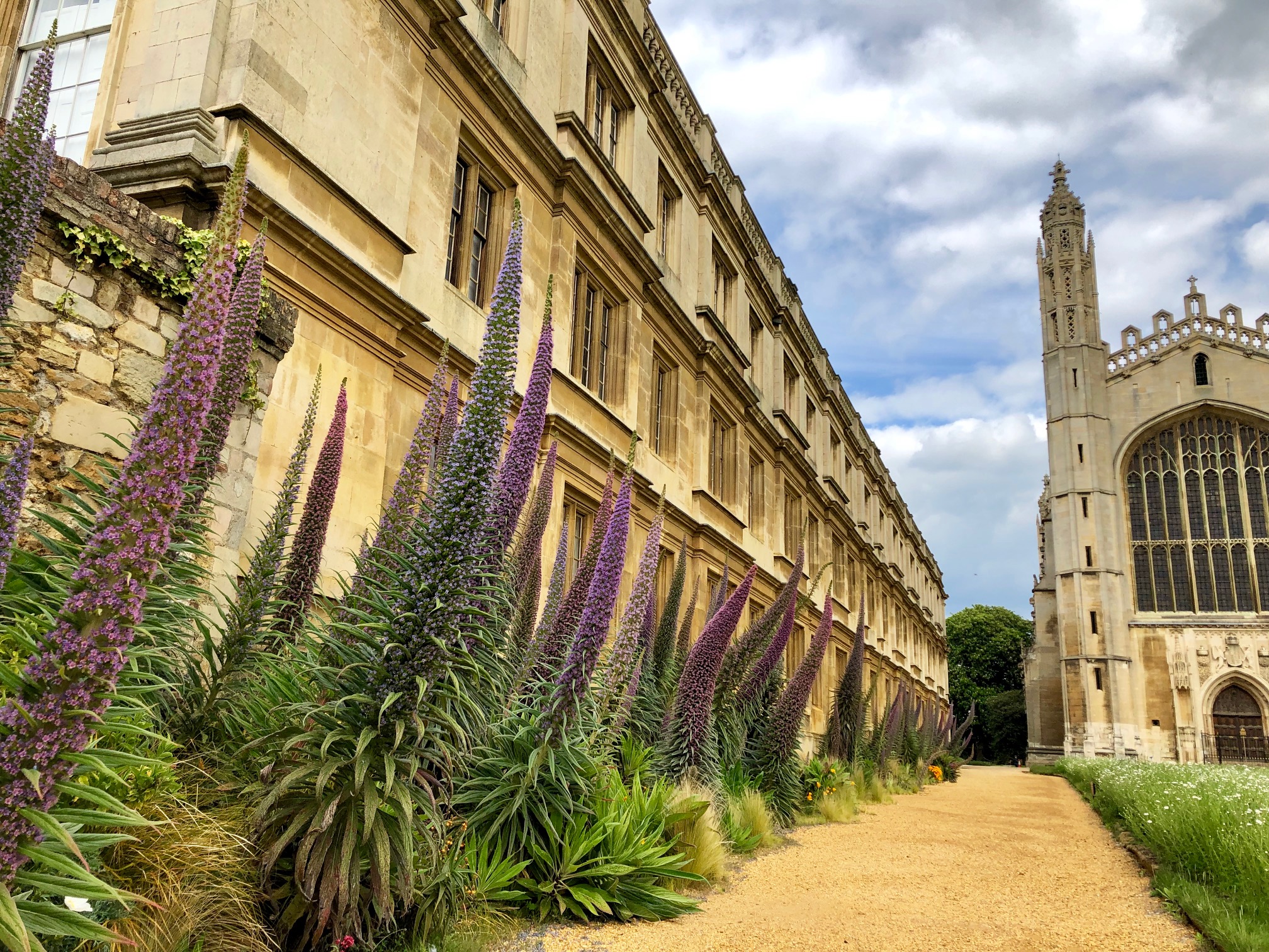 echiums_chapel