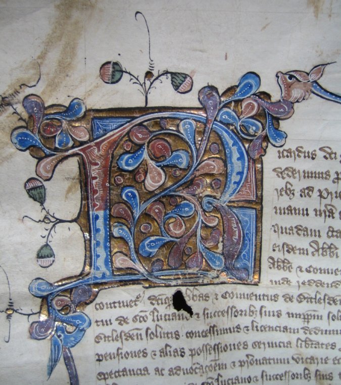 WEL19initial