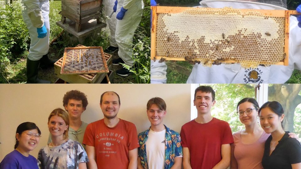 beekeeping2