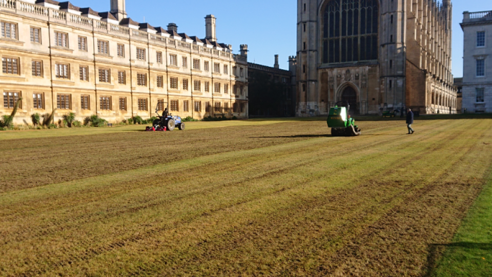 kings_college_wildflower_meadow