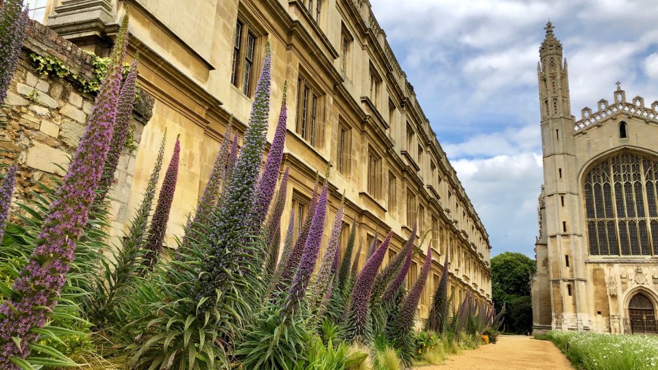 echiums_chapel