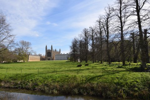 dsc_0105 dsc_0105