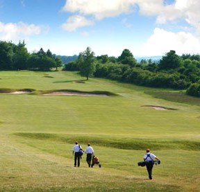 golfedit2025 golfedit2025