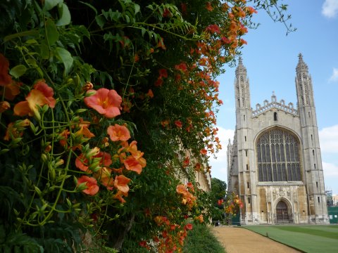 King's Chapel