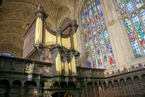 Organ Restoration Organ Restoration