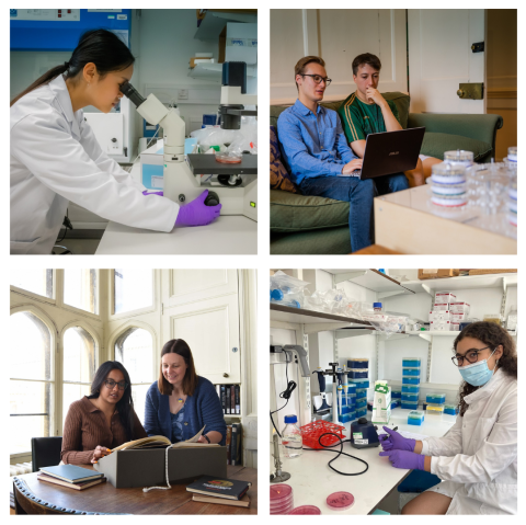summer_research_programme_2022_4facebook