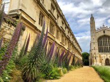 echiums_chapel