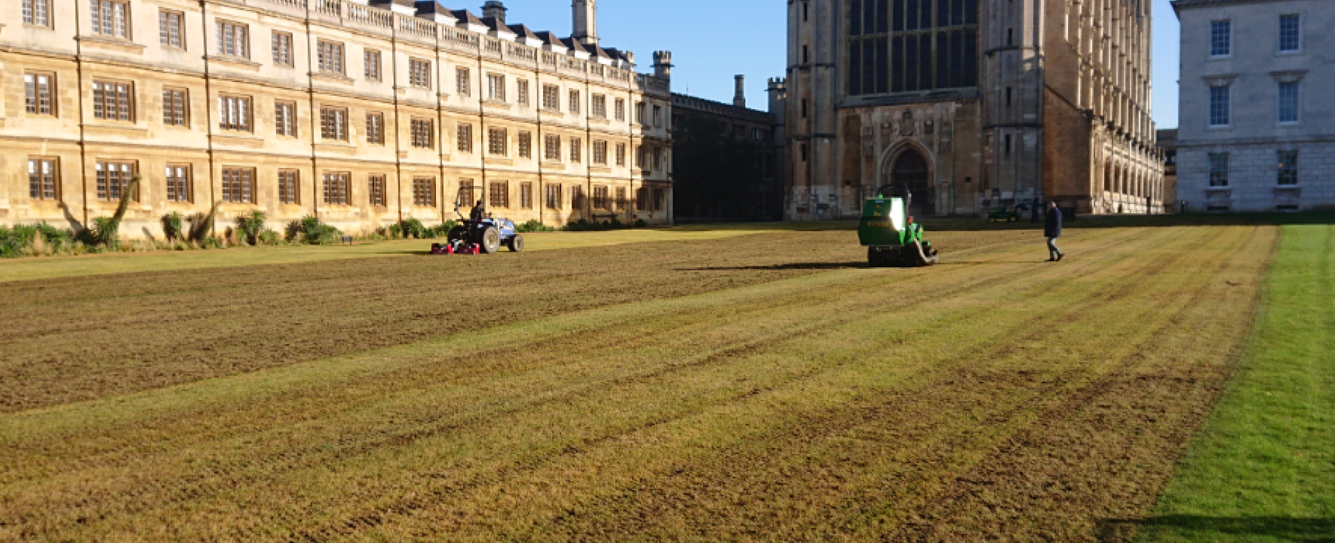 kings_college_wildflower_meadow kings_college_wildflower_meadow