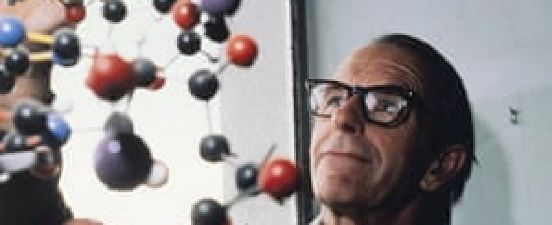 sanger