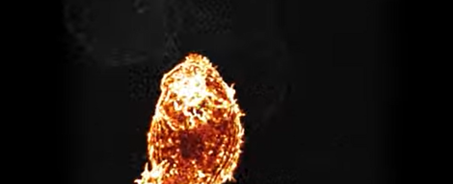 Image of T cell t_cell