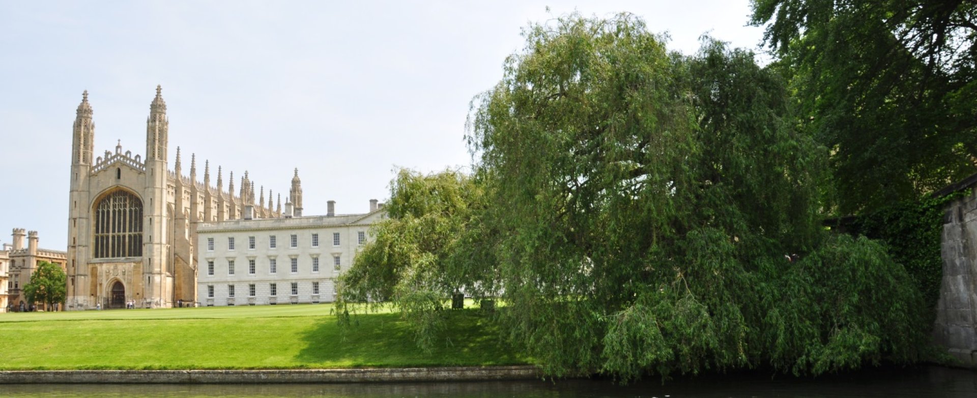 willow_tree_2016 willow_tree_2016